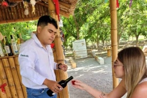 ICA: Strada del Pisco e del Vino con degustazione in 03 cantine