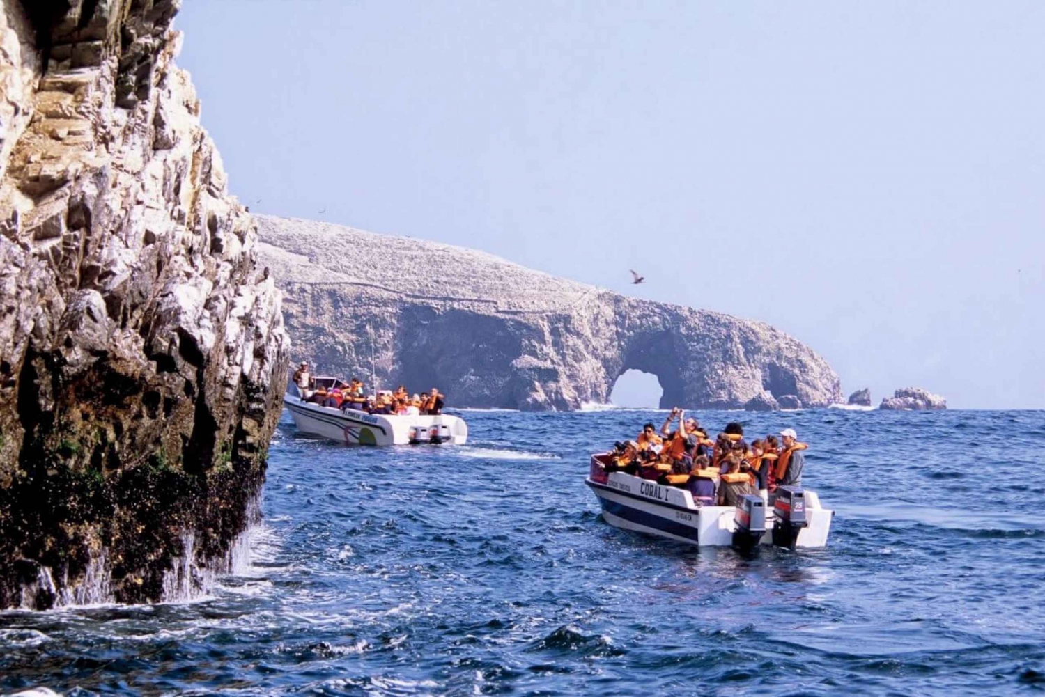 Ica: Short excursion to Ballestas Island | Boat ride