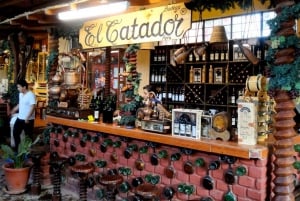 Ica: Tacama Winery and Pisco Tasting Tour with Hotel Pickup