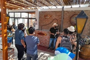 Ica: Tacama Winery and Pisco Tasting Tour with Hotel Pickup