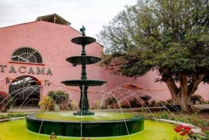 Ica: Tacama Winery and Pisco Tasting Tour with Hotel Pickup