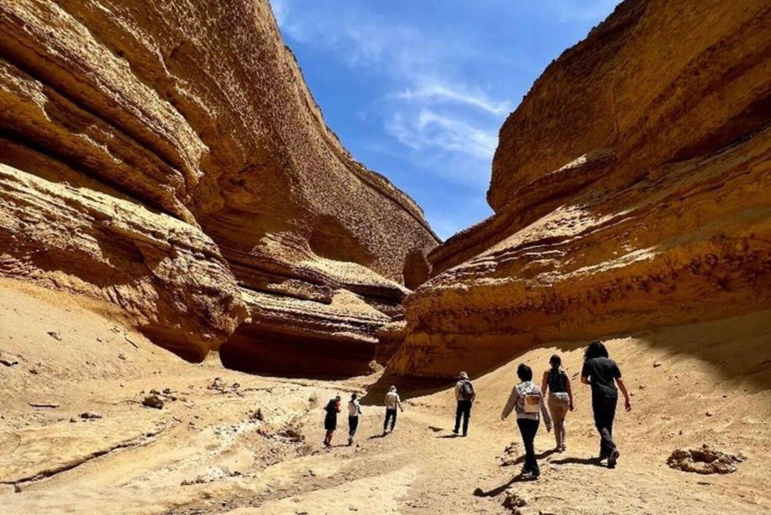 Ica: Visit the Canyon of the Lost with a hike and a natural approach