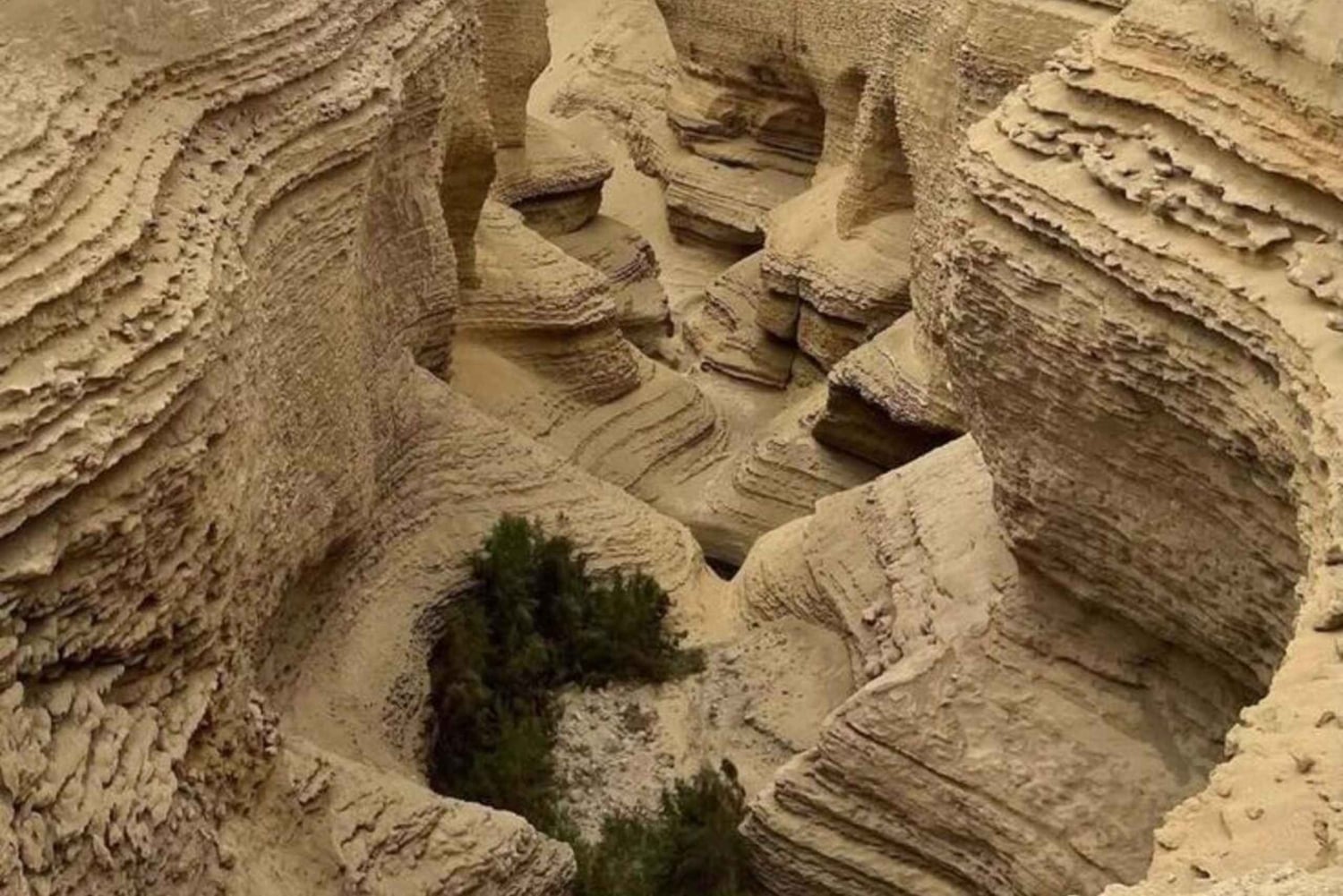 Ica: Visit the Canyon of the Lost with a hike and a natural approach