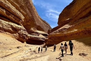 Ica: Visit the Canyon of the Lost with a hike and a natural approach
