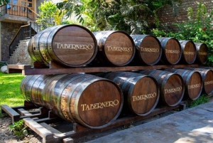 Ica: Winery Tour with Pisco and Wine Tasting