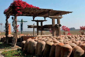 Ica: Winery Tour with Pisco and Wine Tasting