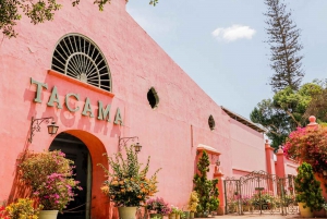 Ica: Winery Tour with Pisco and Wine Tasting