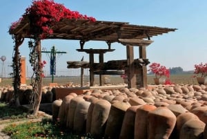 Ica: Wycieczka do winiarni z degustacją Pisco i wina