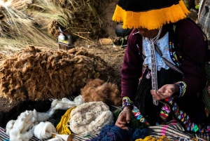 Tauche ein in die Kinsecocha-Gemeinschaft