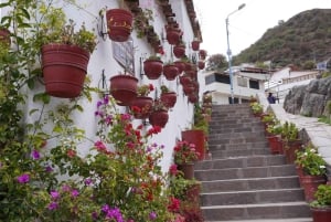 I Cusco: Vandringstur gjennom det historiske sentrum av Cusco.