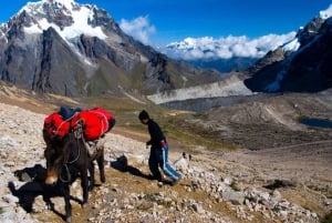 Depuis Cusco : Trek du Salkantay au Machu Picchu 75 km 5 jours/4 nuits 4 jours/3 nuits