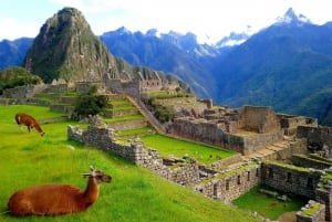Inka Jungle Trail til Machu Picchu 4 dage