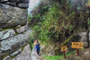 Inka Jungle Trail til Machu Picchu 4 dager