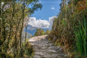 Inca Trail 2 days to Machu Picchu