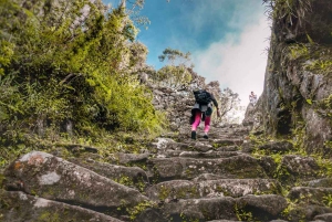 SENTIER INCA - TREK DE 4 JOURS VERS MACHU PICCHU