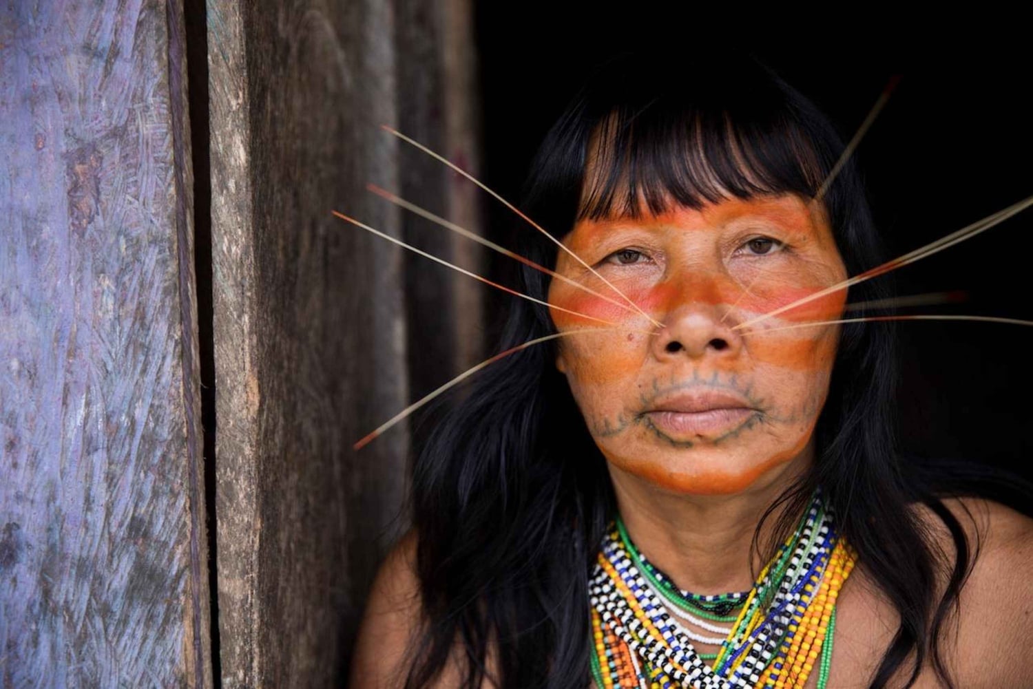 Iquitos: tour di 15 giorni alla scoperta della cultura Matsés e della foresta amazzonica