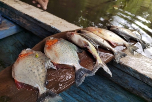 Iquitos: 15-tägige Tour zur Matsés-Kultur und zum Amazonas-Regenwald