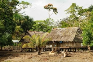 Iquitos: 2-dages ophold på Amazon Lodge med måltider og aktiviteter