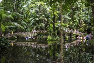 Iquitos: 2-dages ophold på Amazon Lodge med måltider og aktiviteter