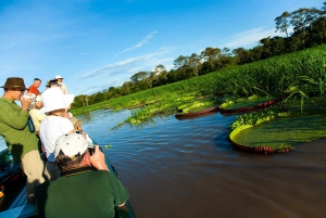 Iquitos: 2 Days and 1 Night Guided Amazon Jungle Tour