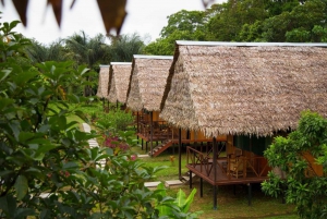 Iquitos: 2 Days and 1 Night Guided Amazon Jungle Tour