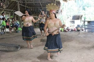 Iquitos: 3-day/2-night tour: The Jungle of Mirrors