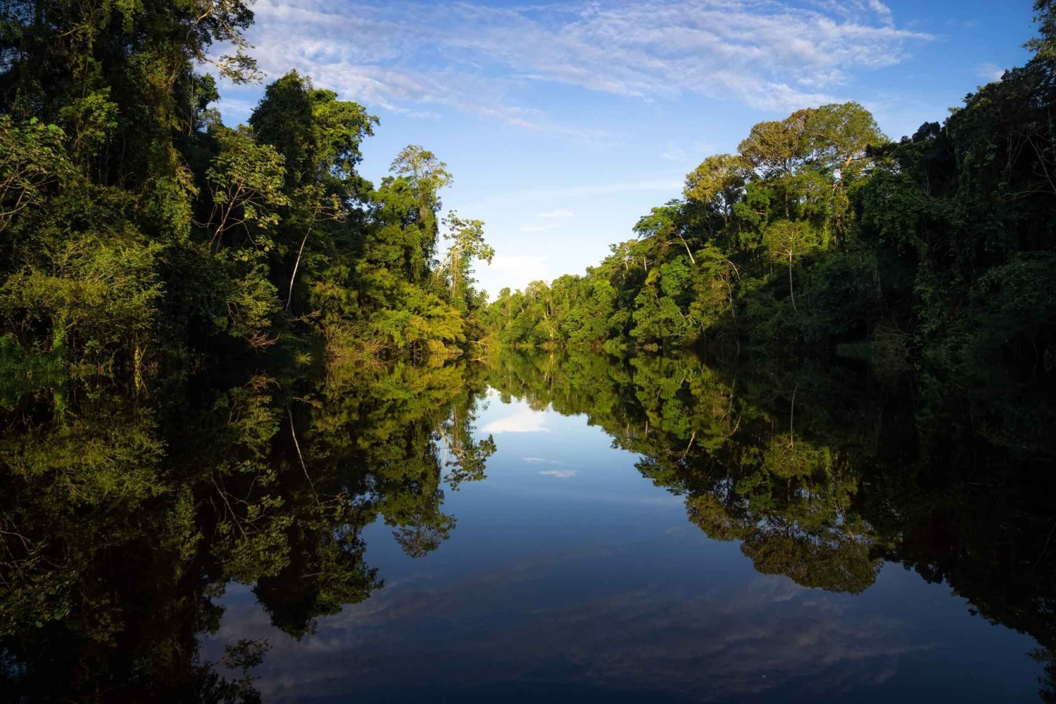 Iquitos: 3-Day Amazon Jungle Adventure with Meals