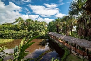 Iquitos: 3-dages Amazonas-jungletur med camping og måltider