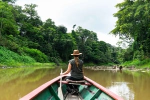 Iquitos: 3-dages Amazonas-jungletur med camping og måltider