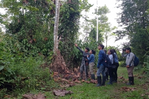 Iquitos: 3-Day San Rafael Community Rainforest Tour