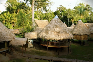 Iquitos: 3 Days and 2 Nights Guided Amazon Jungle Tour