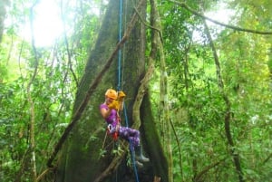 Iquitos: 3 Days and 2 Nights Guided Amazon Jungle Tour