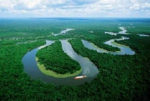 Iquitos: visita guiada de 7 horas pela maravilhosa vida selvagem