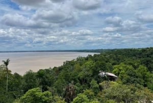 Iquitos: visita guiada de 7 horas pela maravilhosa vida selvagem