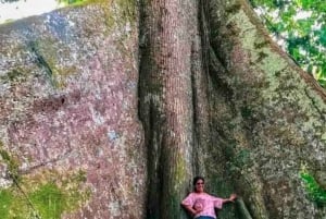 Iquitos: visita guiada de 7 horas pela maravilhosa vida selvagem