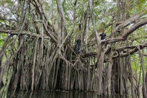 Iquitos: 3d2n Passeio na Selva Reserva Nacional Pacaya Samiria