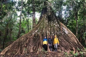 Iquitos: 3d2n jungeltur i Pacaya Samiria nasjonalreservat