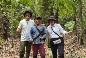 Iquitos: 3d2n Wycieczka do dżungli Rezerwat Narodowy Pacaya Samiria