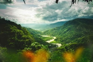 Iquitos: 5 dagar i regnskogen | Amazonas djungelresa