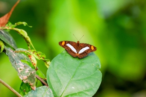 Best tours in and around Iquitos, Peru