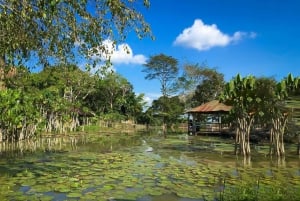 Iquitos: begeleide tour van 6 uur met prachtige dieren in het wild