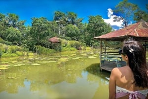 Iquitos : 6 heures de visite guidée de la faune et de la flore sauvages