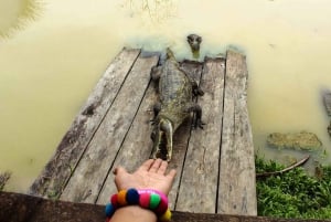 Iquitos: Excursión guiada de 6 horas por la maravillosa vida salvaje