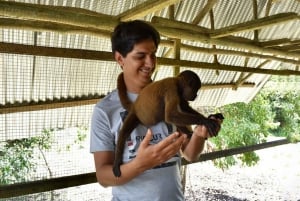 Iquitos: 6-tunnin ihana villieläinten opastettu kierros