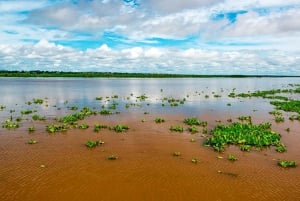 Iquitos: excursão guiada de 6 horas pela maravilhosa vida selvagem
