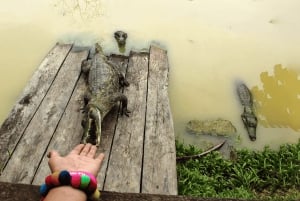 Iquitos: 6-Hour Wonderful Wildlife Guided Tour
