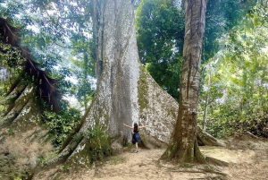 Iquitos: 6-Hour Wonderful Wildlife Guided Tour