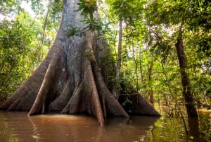 Iquitos: 6-Hour Wonderful Wildlife Guided Tour