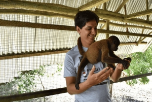 Iquitos: 6-Hour Wonderful Wildlife Guided Tour