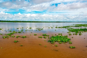 Iquitos: 6-Hour Wonderful Wildlife Guided Tour